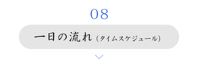 一日の流れ